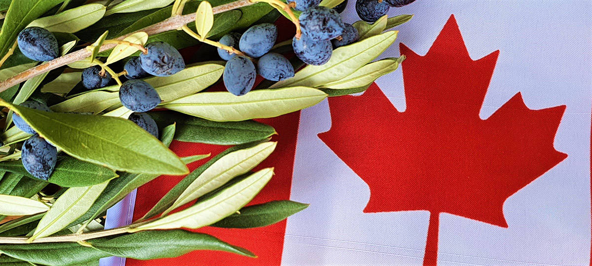 CANADIAN AWARDS 2021 ARE MORE THAN JUST OLIVE OIL PARTICIPATION TROPHIES